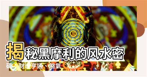 黑摩利點養|黑摩利風水擺放禁忌